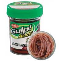 Gulp! Alive Angle Worm.