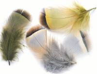 Veniard French Partridge Hackle Natural or Dyed 2g