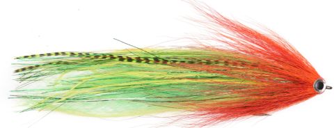 Vision Parrot Pike Fly