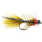 Blue-Ray Damsel - Blue Head