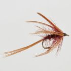 Dabbler Claret