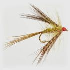 Dabbler Olive