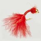 Bloodworm