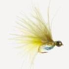 Dawson's Olive
