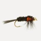 Montana Orange