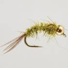 Grub Olive