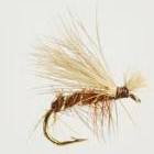 Elk Hair Brown