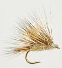 Sedgehog Hare's Ear