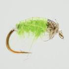 CZ Nymph Green