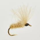 Imago Buzzer