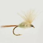 Imago Sandy Dun