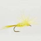 Imago Yellow