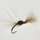 Shuttlecock Black