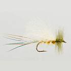 Blue Damsel Dry Female