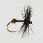 Black Ant