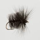 Black Gnat