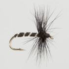 Black Midge