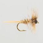 March Brown