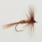 Pheasant Tail