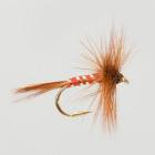 Red Spinner