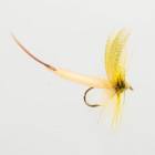 Yellow Drake