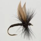 Black Gnat