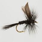 Black Gnat Black