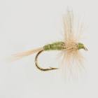 Blue Winged Olive