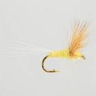 Comparadun Yellow