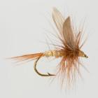 Gold Ribbed Hare's Ear
