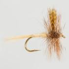 March Brown American