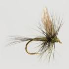 Medium Olive Dun