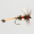 Royal Coachman