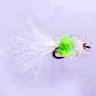 Cat's Whisker