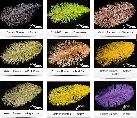 Grip Ostrich Plumes 5