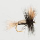 Humpy Black