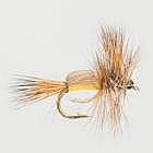 Humpy Yellow