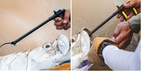 Loon Apex Hook Remover.