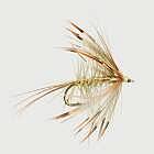 Mayflies