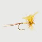 Yellow Drake