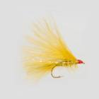 Dawson's Olive