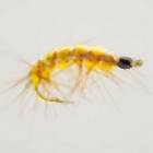 Shrimp Yellow