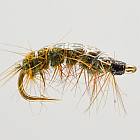 Shrimp Green