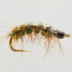 Shrimp Pink