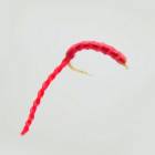 Bloodworm