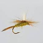 Blue Winged Olive