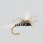 Mosquito
