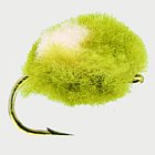 Ninja Egg Olive