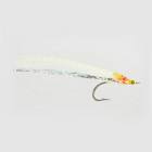 Myer's Sheepshead Minnow
