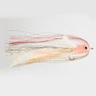 Squid